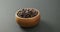 Video of wooden bowl of chocolate chip over grey background