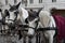 Vienna. Austria. Horses with carriages and carts waiting for tourists in the old city streets