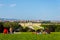 Vienna panorama and Schonbrunn Palace