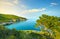 Vieste, Gargano rocky coast and trees, Apulia, Italy