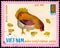 VIETNAM - CIRCA 1968: postage stamp printed in Vietnam shows hen with chicks, a series of domestic fowl