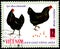 VIETNAM - CIRCA 1968: postage stamp printed in Vietnam shows two black hens, a series of domestic fowl