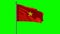 Vietnam Flag 3D animation with green screen