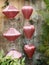 Vietnam - Hoi An - Pink Lanterns Against a Stone Wall