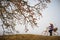 Vietnam landscape. Blossoming Bombax ceiba tree or Red Silk Cotton Flower with a woman cycling on countryside dyle