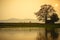 Vietnam landscape at sunset. Blossoming Bombax ceiba tree or Red Silk Cotton Flower with a woman cycling on countryside dyle