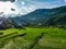 Vietnam Sapa Rice fields view