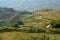 Vietnam, Sapa - Ricefields