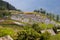 Vietnam terraces, next to sapa, is the party of the country covered with beautiful rice fields at several locations in countryside