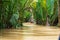 Vietnamese boatman in the Mekong Delta