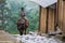 Vietnamese boy riding a buffalo