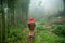 Vietnamese ethnic minority Red Dao women in traditional dress and basket on back in misty bamboo forest in Lao Cai, Vietnam