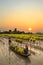 Vietnamese farmer harvesting flower in the sunset