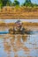 Vietnamese farmer prepares drowned field to sow rice