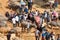 Vietnamese farmers selling and buying water buffalo