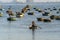 Vietnamese fisherman in a traditional round bamboo boat rowing to makeshift living rafts on the open sea near city of Danang,