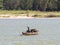 Vietnamese fishermen on a boat catching fish, Mekong river delta area