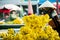 Vietnamese flower seller in hanoi city