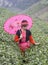 Vietnamese Hmong minority ethnic girl in traditional costume picking tea bud