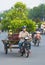 Vietnamese motorcyclist drives garden trees