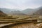 A vietnamese rice terrace on a winters morning in Sapa, Northern Vietnam