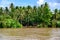 Vietnamese shack located at tributary river of Mekong River, near Ho Chi Minh City, Vietnam