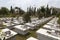 Vietnamese soldiers graveyard