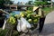 Vietnamese woman pack bunch of bananas, transport by bicycle, mobile fruits shop, street vendor