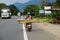 Vietnamese woman transport long banana tree trunk by motorbike in danger