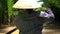 Vietnamese woman wearing a leaf hat and paddling a traditional boat or canoe in the Mekong Delta, Vietnam