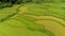 view 4k video by drone Paddy fields located in Tam Son town, Quan Ba District, Ha Giang Province, Vietnam.