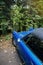 View from above of blue vintage car parked in front of tall forest