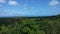 View from above of coconut trees, green vegetation and the sea