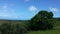 View from above of coconut trees, green vegetation and the sea