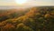 View from above of colorful woods at sunset. Yellow and orange canopies in autumn forest on sunny evening. Landscape of