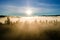 View from above of dark moody pine trees in spruce foggy forest with bright sunrise rays shining through branches in autumn