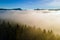 View from above of dark moody pine trees in spruce foggy forest with bright sunrise rays shining through branches in autumn