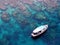 View from above of a fishing boat in the Caribbeans