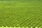 View from above of green farmlands with rows of orange grove trees growing on a sunny day in Florida