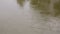 View from above. Rapid flow and bubbling of water, brown color in the river.