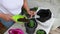 View from above woman ads fertilized potting soil while planting lavender seedlings in pots