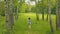 View from above young woman in forest. Smiling girl in birch grove