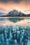 View of Abraham Lake with natural bubbles frost in the morning on winter at Banff national park