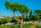 View of the Acropolis hidden behind a tree from the Filopappos hill in Athens, Greece....IMAGE