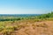 A view across Ashdown Forest scorched but beautiful heathland colours on a bright summer day