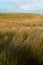 View across Batty Moss at the Ribble Valley UK 