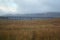 View across Batty Moss to the Ribblehead Viaduct, England 