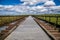 A view across the Bennerley Viaduct over the Erewash canal