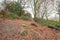 A view across the boulder strewn path to the sandstone rocks on a Sussex England rainy morning