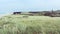 View across coastal dunes